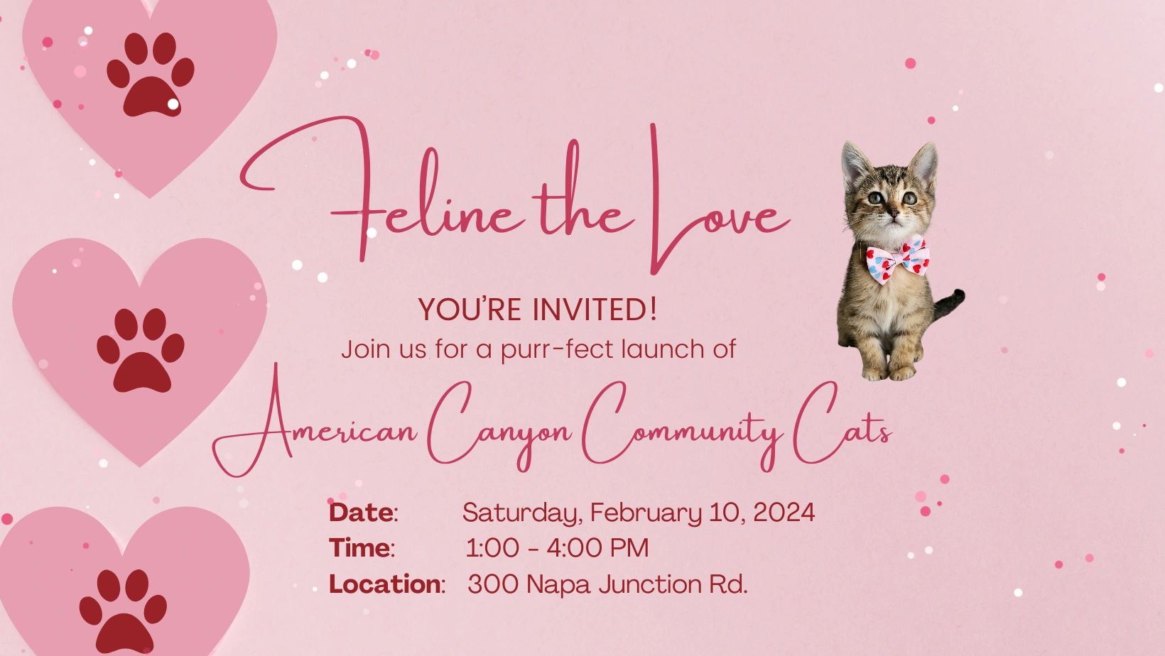 community-cats-tnr-feral-cats-spay-and-neuter-adopt-cats-rescue